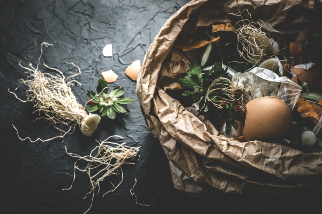 Garbage sorting. Organic food waste from vegetable ready for recycling and to compost on the dark backgrond. Environmentally responsible behavior, ecology concept